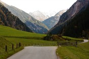 Remote work at Gorrion